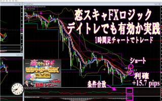 ���X�L��FX�Ńf�C�g��