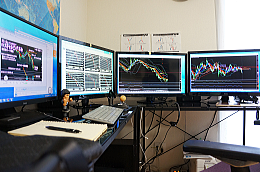 FX�X�L�����s���O�v���Ď���