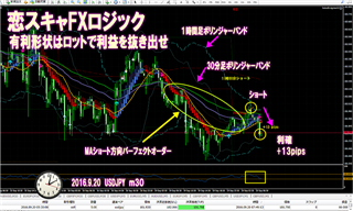 ���X�L��FX���H�g���[�h�L���v�`���[