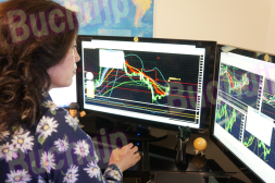 ���X�L��FX buchujp�̉ł͎��H�g���[�h