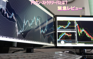 �h���S���E�X�g���e�W�[FX���H����