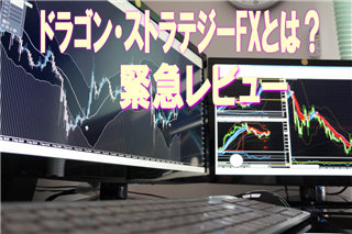 ドラゴン・ストラテジーFXとはなに検証