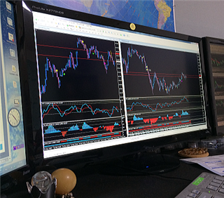 �s�t�q�a�n �e�w���r���[